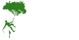 Tree Surgery Maidenhead from Majestic Tree Care Ltd Logo